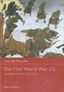 First World War: Volume 3 The Western Front 1917-1918